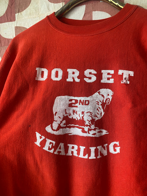 Dorset Yearling Reverse Weave